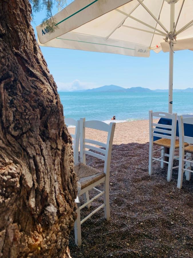 Villa ,,Sea Breeze,, - Home By The Sea Néa Ankhíalos Kültér fotó